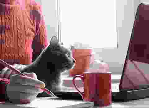 home-1-service-3