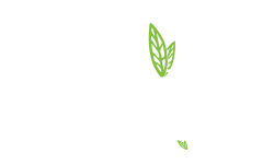 Bobana